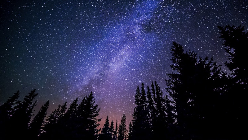 5000年前の北極星は今と違う？昔の夜空と星の移り変わりをやさしく解説