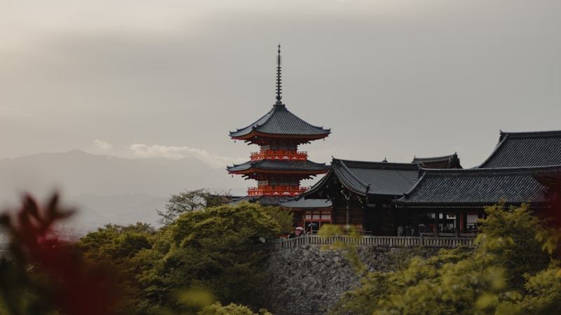 50代男性が急に神社巡りにハマる理由とは?心理・魅力・楽しみ方をやさしく解説