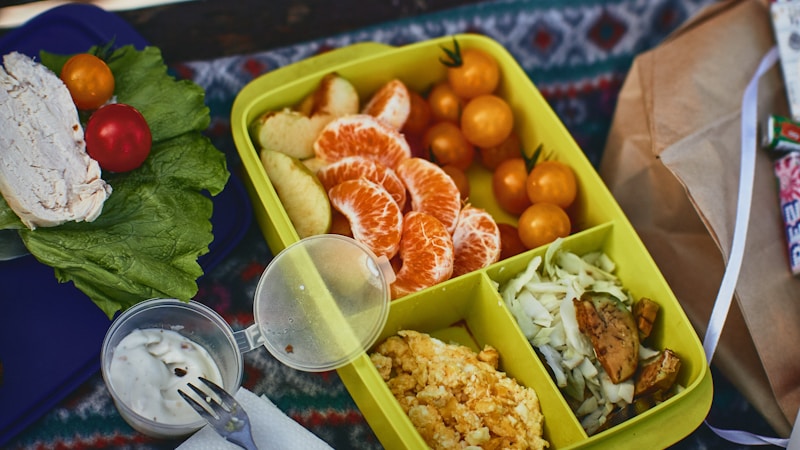 夏のお弁当で気をつけたいこと完全ガイド|傷みにくい詰め方・持ち運び・おすすめ対策まとめ