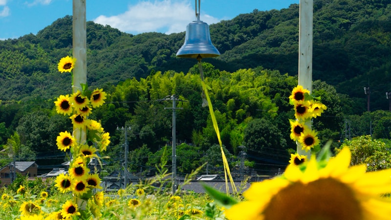 川崎大師で風鈴を楽しむ夏さんぽ｜見どころ・開催時期・アクセスをやさしく案内