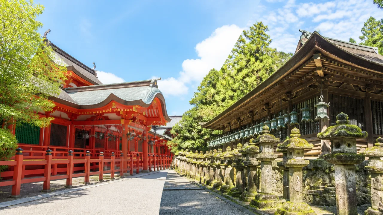 八幡さまと春日大社の違いは？ご祭神やご利益、歴史をやさしく解説