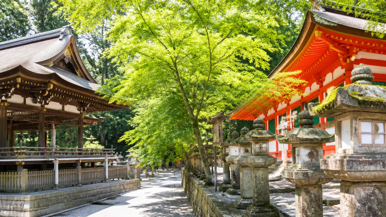 八幡さまと春日大社の違いは？ご祭神やご利益、歴史をやさしく解説